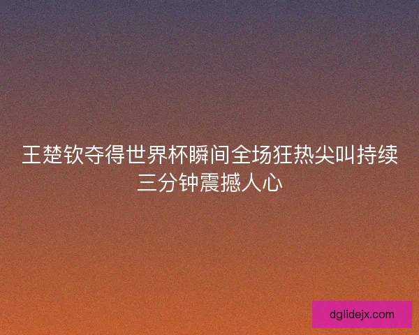 王楚钦夺得世界杯瞬间全场狂热尖叫持续三分钟震撼人心